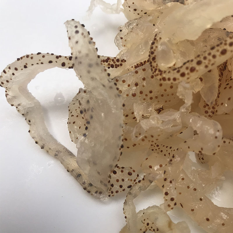 海蜇野生珊瑚珊瑚海白花丝非即食爽脆无沙凉拌海蜇