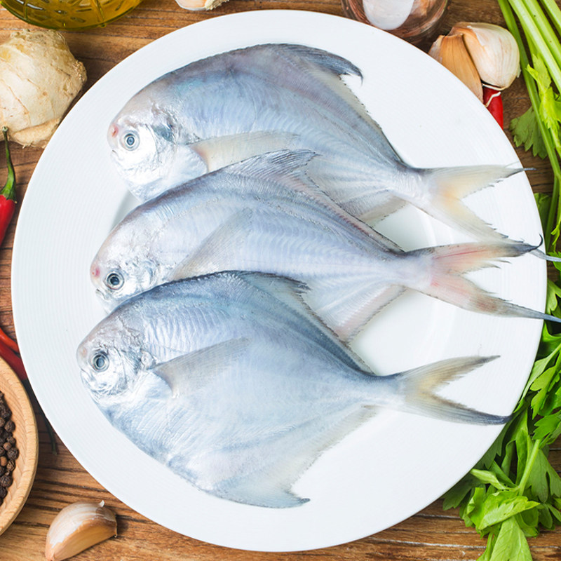 鲳鱼新鲜冷冻海鲜水产鲜活海鱼昌鱼无刺冰冻鲳鱼