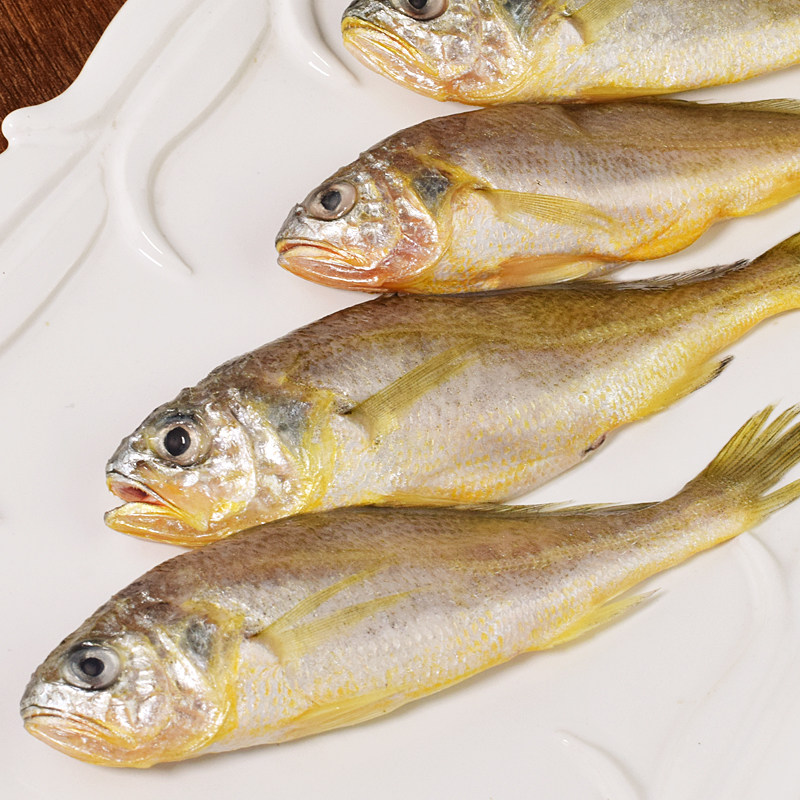 小黄黄鱼黄花鱼新鲜冷冻海鱼海鲜野生渤海烟台黄鱼