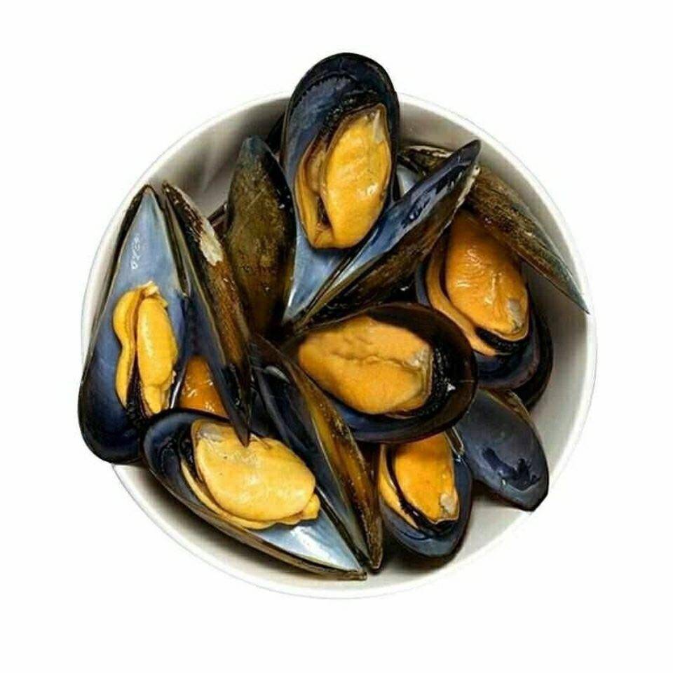 鲜活贝类海鲜海淡菜大青口贝海虹贻贝海红贝壳贝青口贝