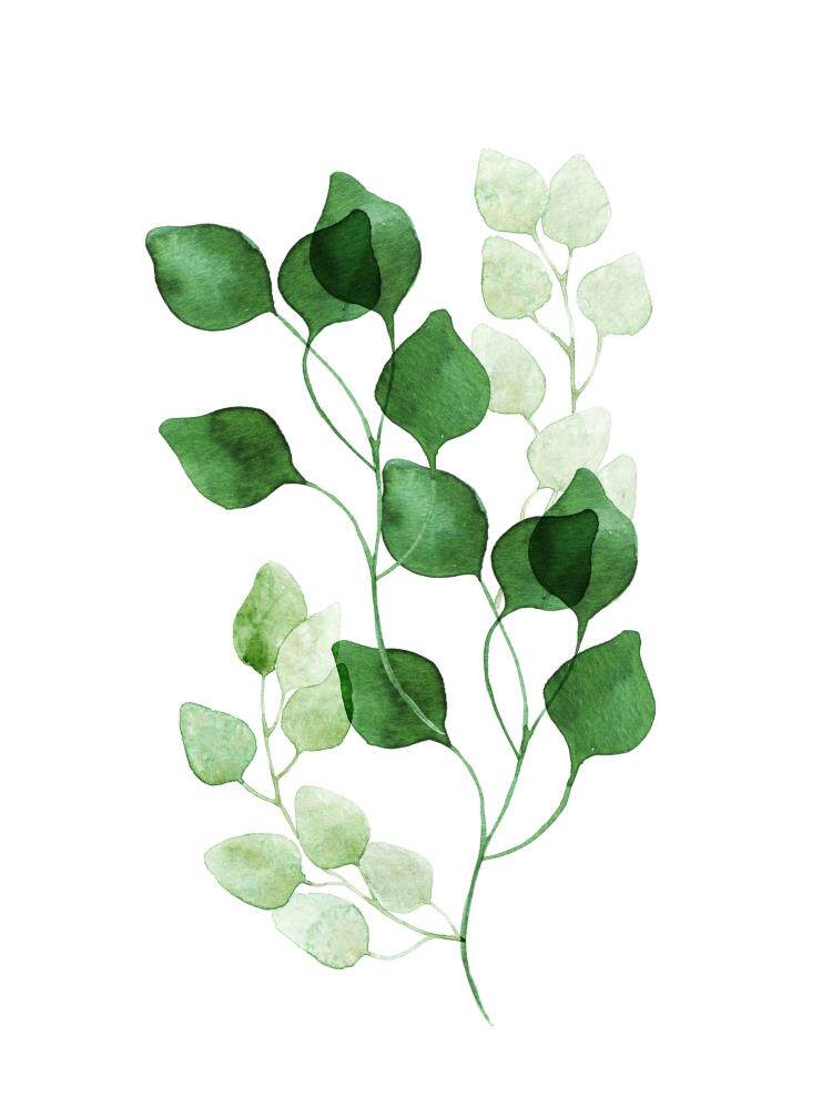 现代简约植物叶子画芯北欧小清新装饰画油画画布喷绘打印油画