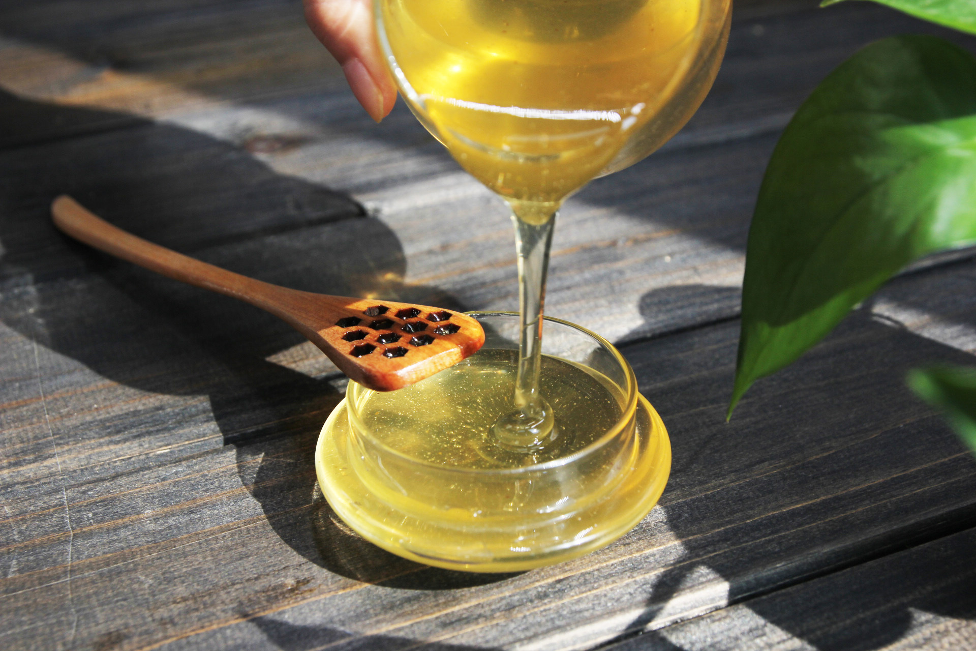 等蜂来天然农家纯自产蜂蜜枸杞蜜青海纯正野生原蜜瓶装620g