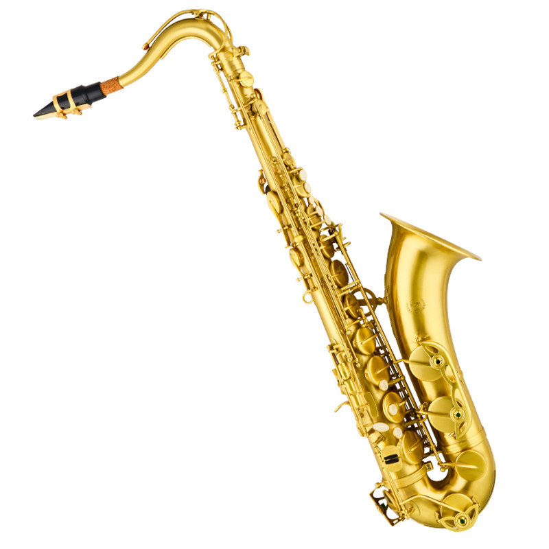 萨克斯金音中音jytsa600e初学专业演奏管乐器萨克斯风