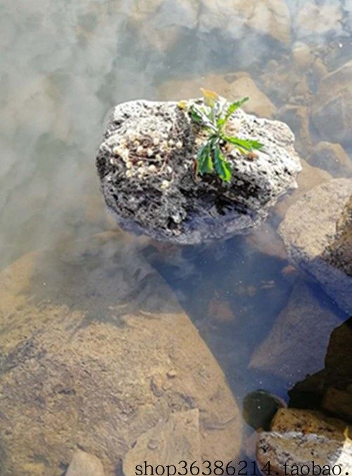 山石长白山纯天然火山大块悬浮浮石水族造景鱼缸造景