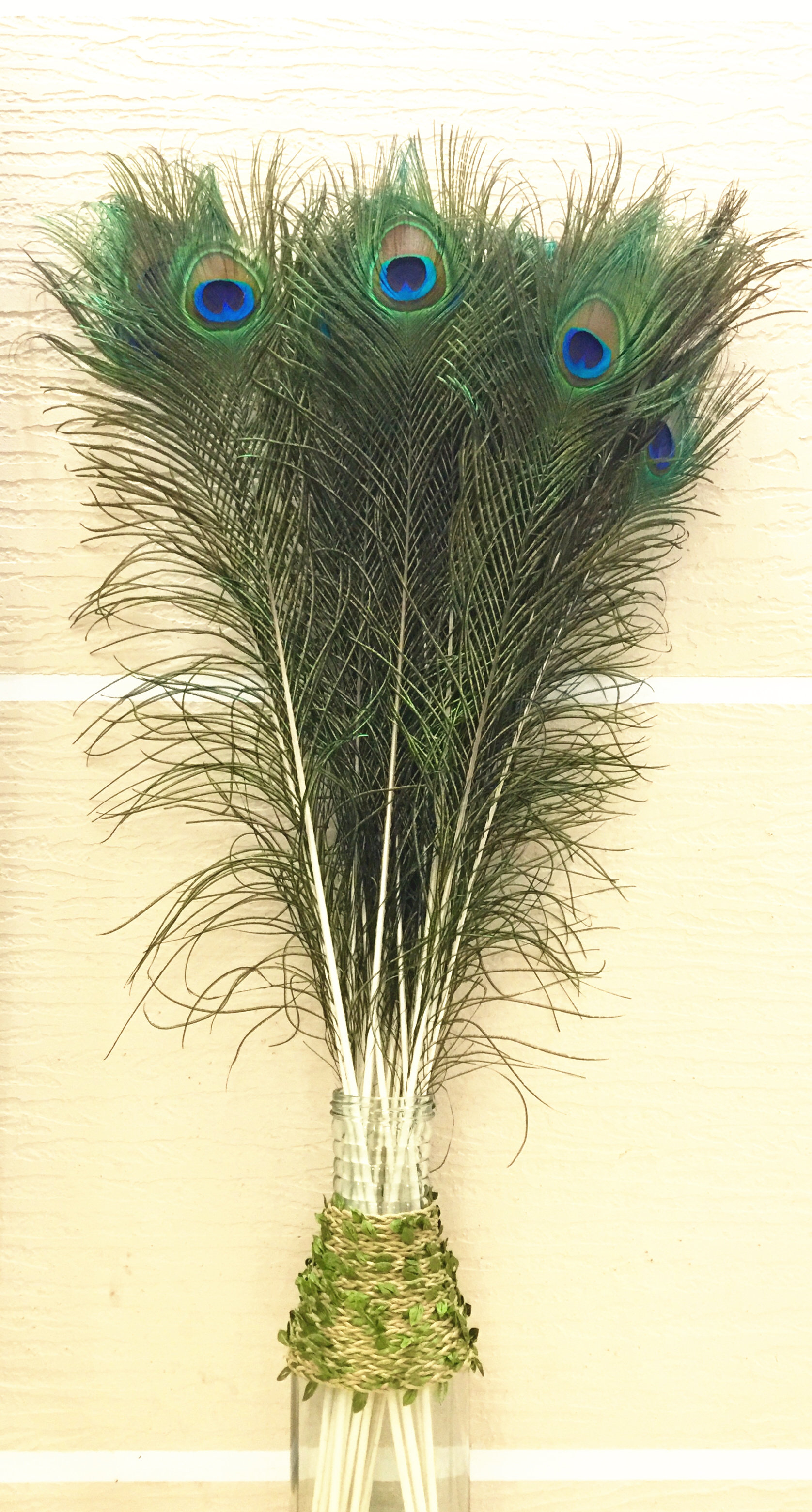 纯天然真孔雀羽毛25-130cm翎尾大眼睛diy饰品装饰花瓶专用孔雀毛