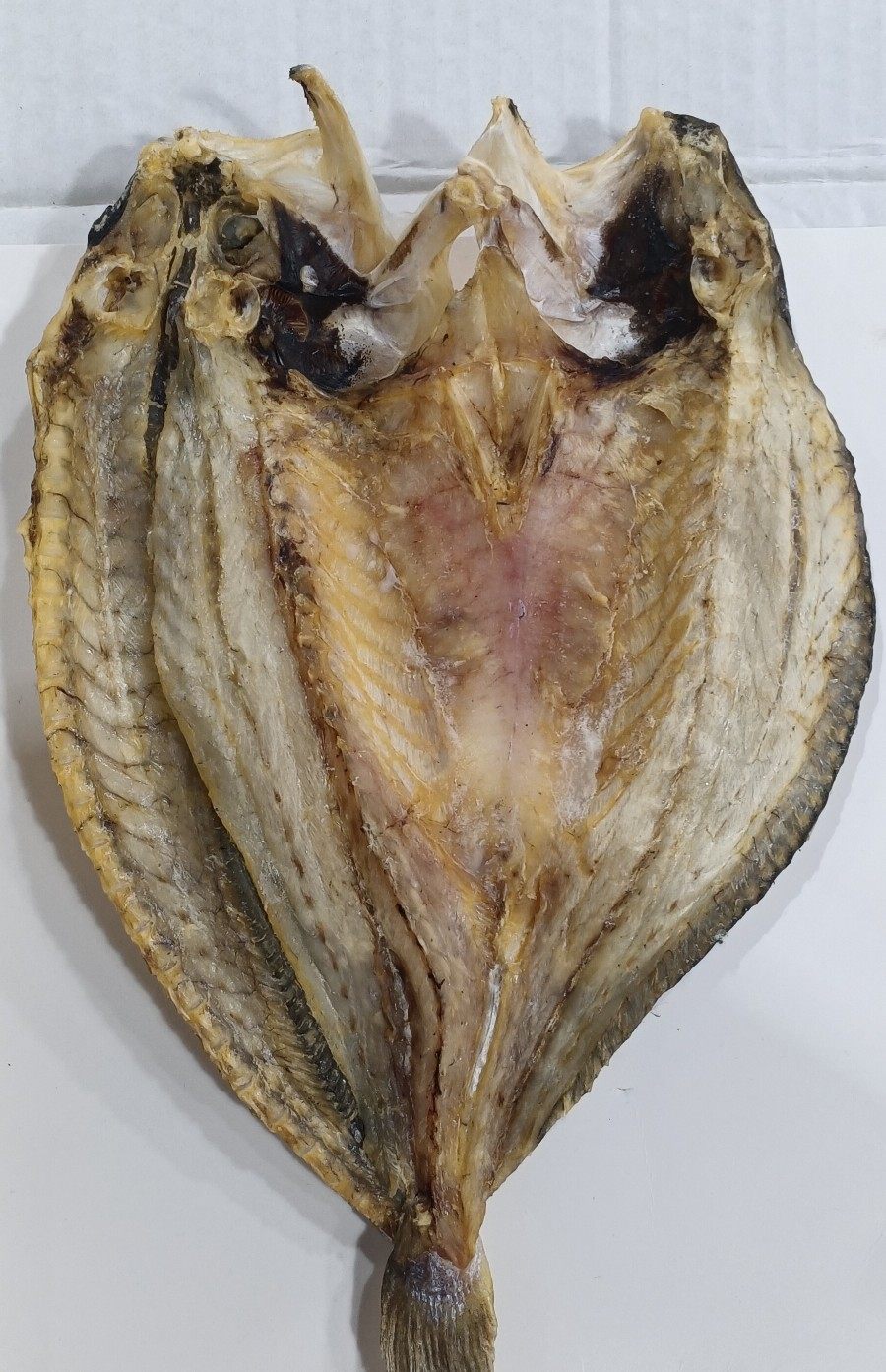 宁德七成245g礼盒海鲜黄花鱼新鲜大黄鱼鱼干黄瓜鱼干