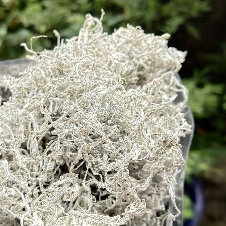 龙须莓茶芽长寿藤茶张家界山中宝贝正宗野生嫩芽养生茶