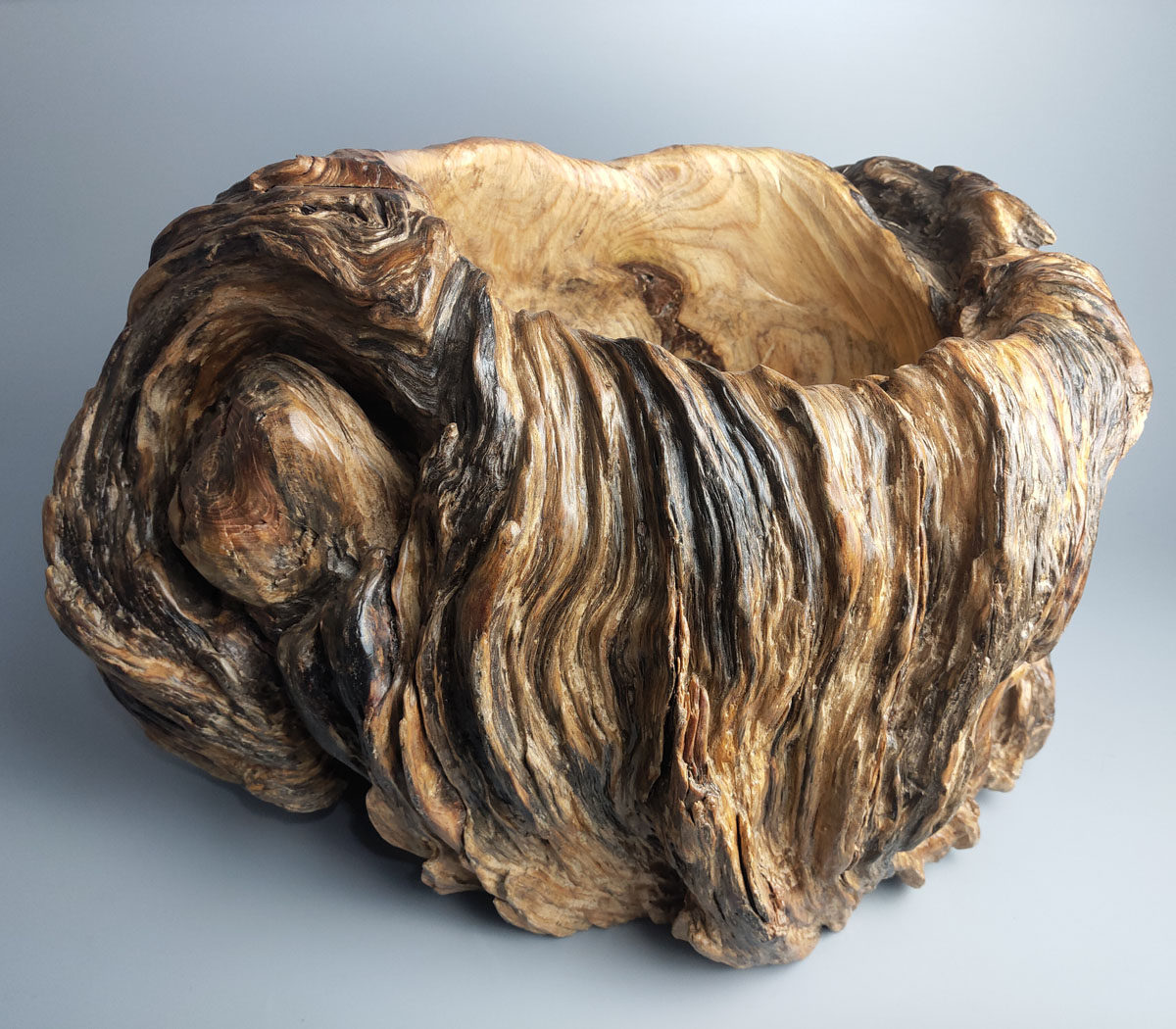 松树天然实木松脂聚宝盆原生态钥匙杂物收纳风化根雕