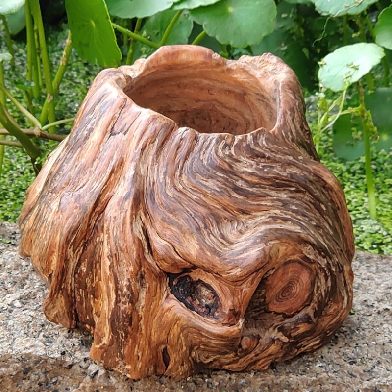 树根多肉花盆松脂油性高油性饰品根雕摆件复古根雕