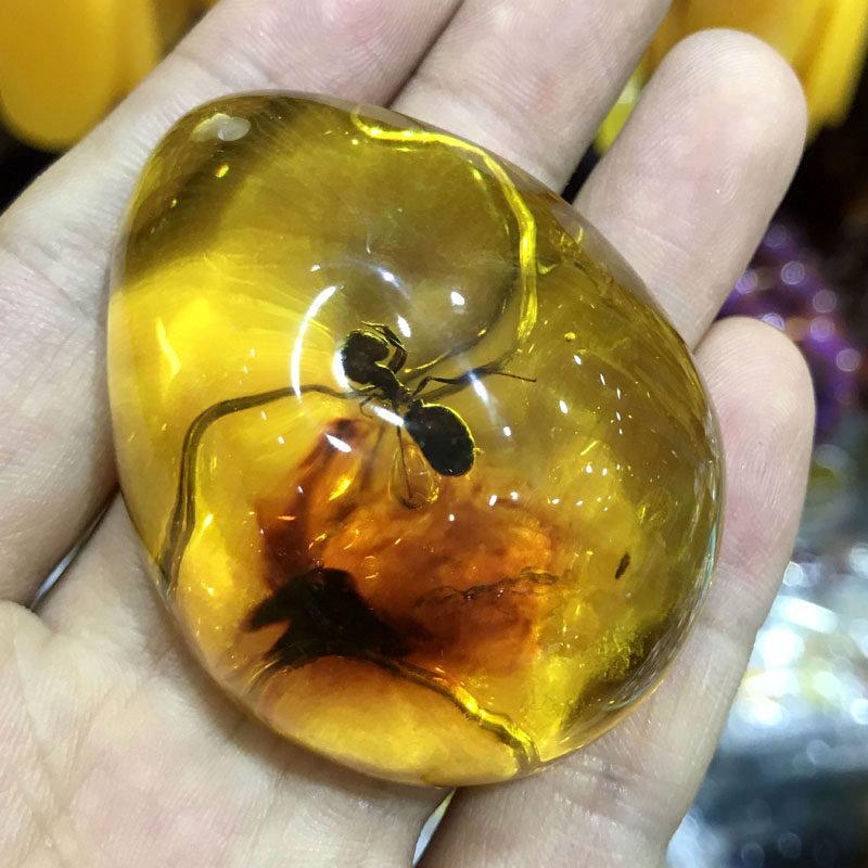 蜜蜡琥珀吊坠虫珀蚂蚁挂件颈饰昆虫实物标本颈饰