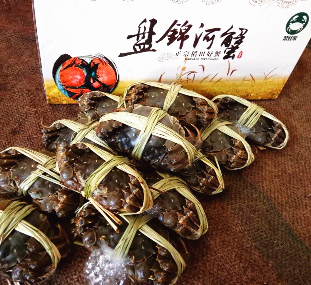 盘锦河蟹大闸蟹鲜活现货礼盒全母螃蟹2.4-2.6两12只包邮稻田螃蟹