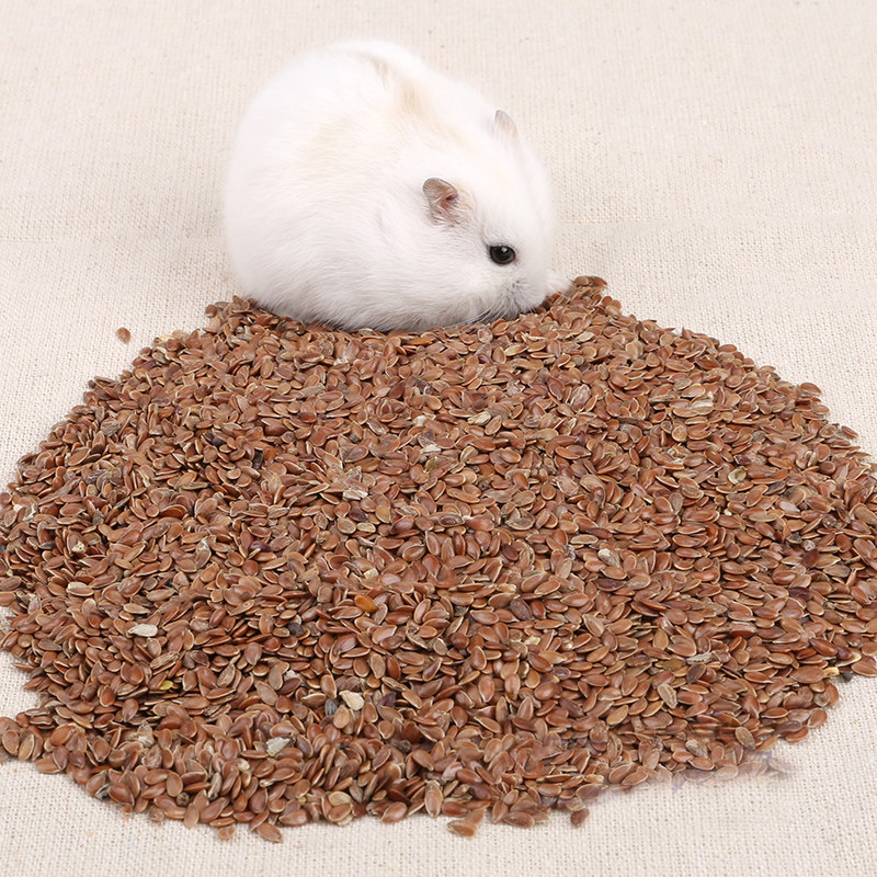 仓鼠兔子龙猫天竺鼠 天然亚麻籽50g 仓鼠粮食膳食纤维