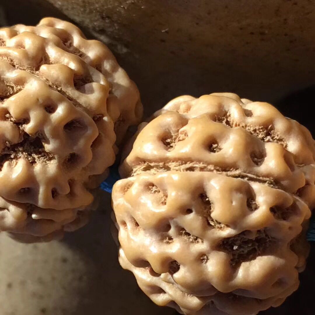 精品蜂王蜂窝双龙纹满肉小金刚菩提单圈手串手链