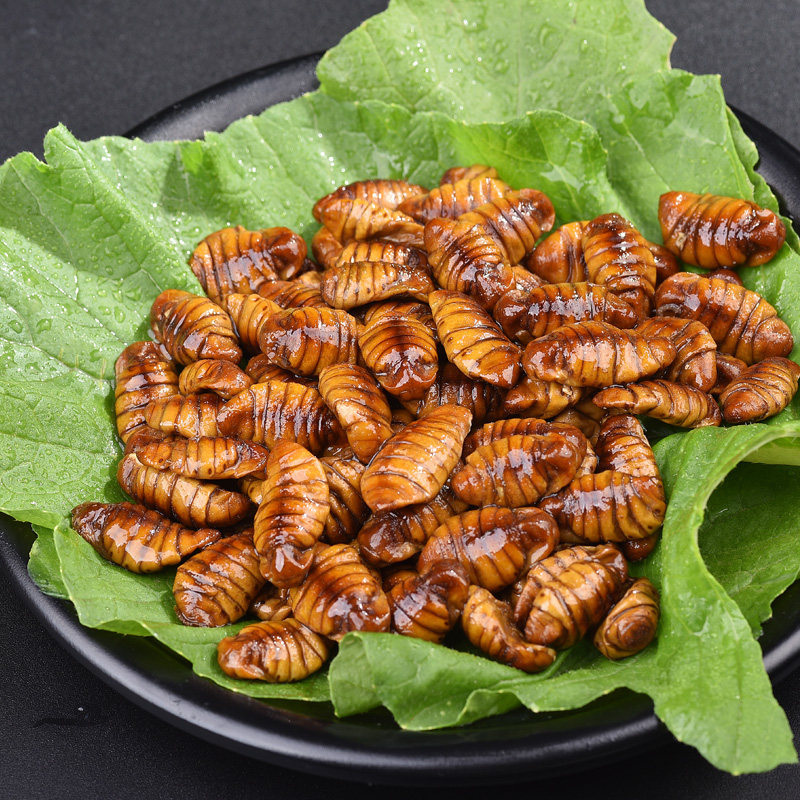 首页 痛风淘宝      【产地直发】山东新鲜蝉蛹小蚕蛹小黄蛹桑蚕蛹生