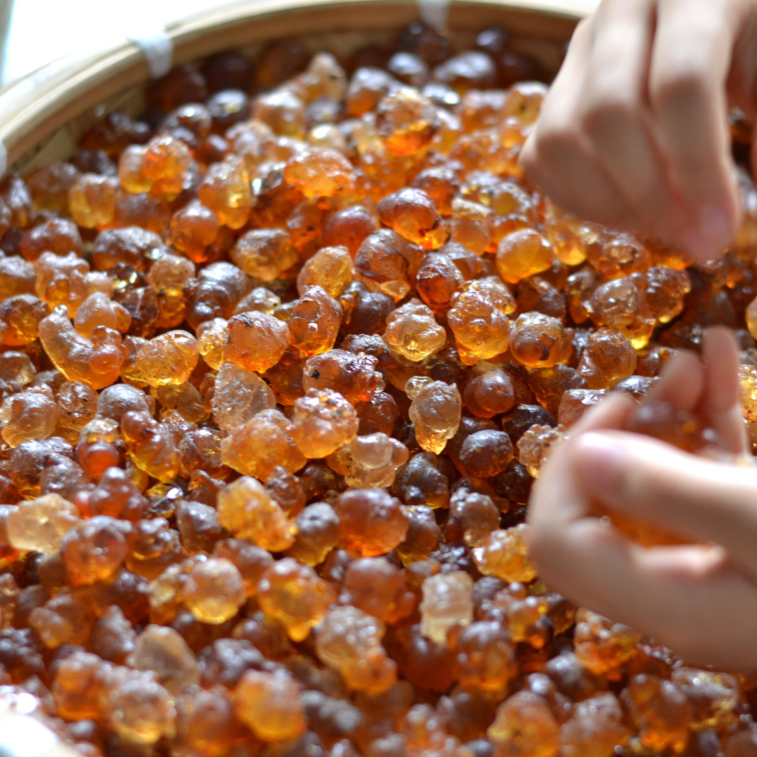 4a天然野生桃胶 特级食用桃花泪水蜜桃彤妈家颗粒胶200克瓶装包邮