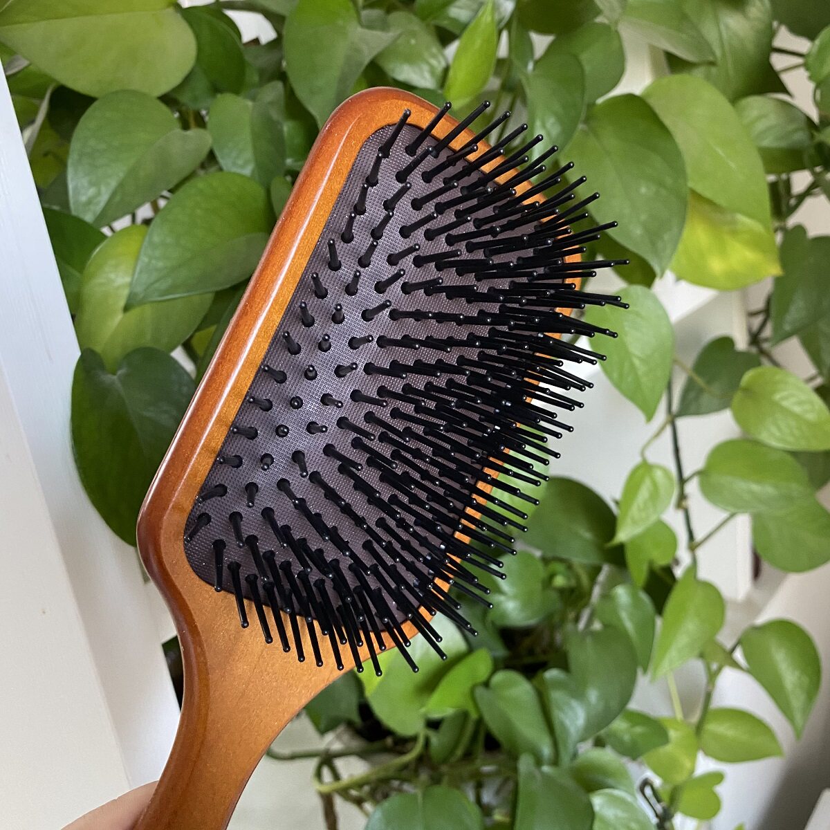 木梳梳子韩国aveda艾凡达气垫按摩气囊静电家用梳子