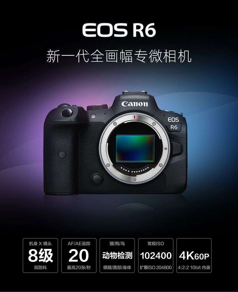 新品 佳能 eos r6 r5 全画幅 专业微单相机无反 单机机身 - 东来军火
