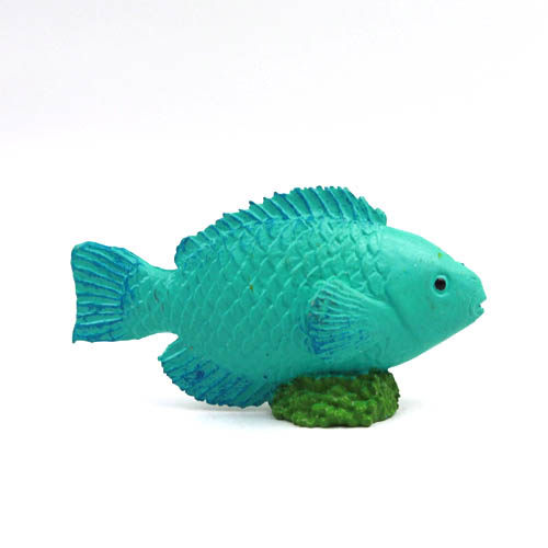 safari正品儿童认识模型玩具海洋生物摆件鹦嘴淡水鱼仿真