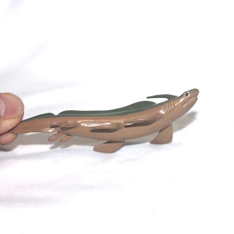 safari仿真海洋动物模型塑胶玩具异刺鲨鱼儿童早教仿真