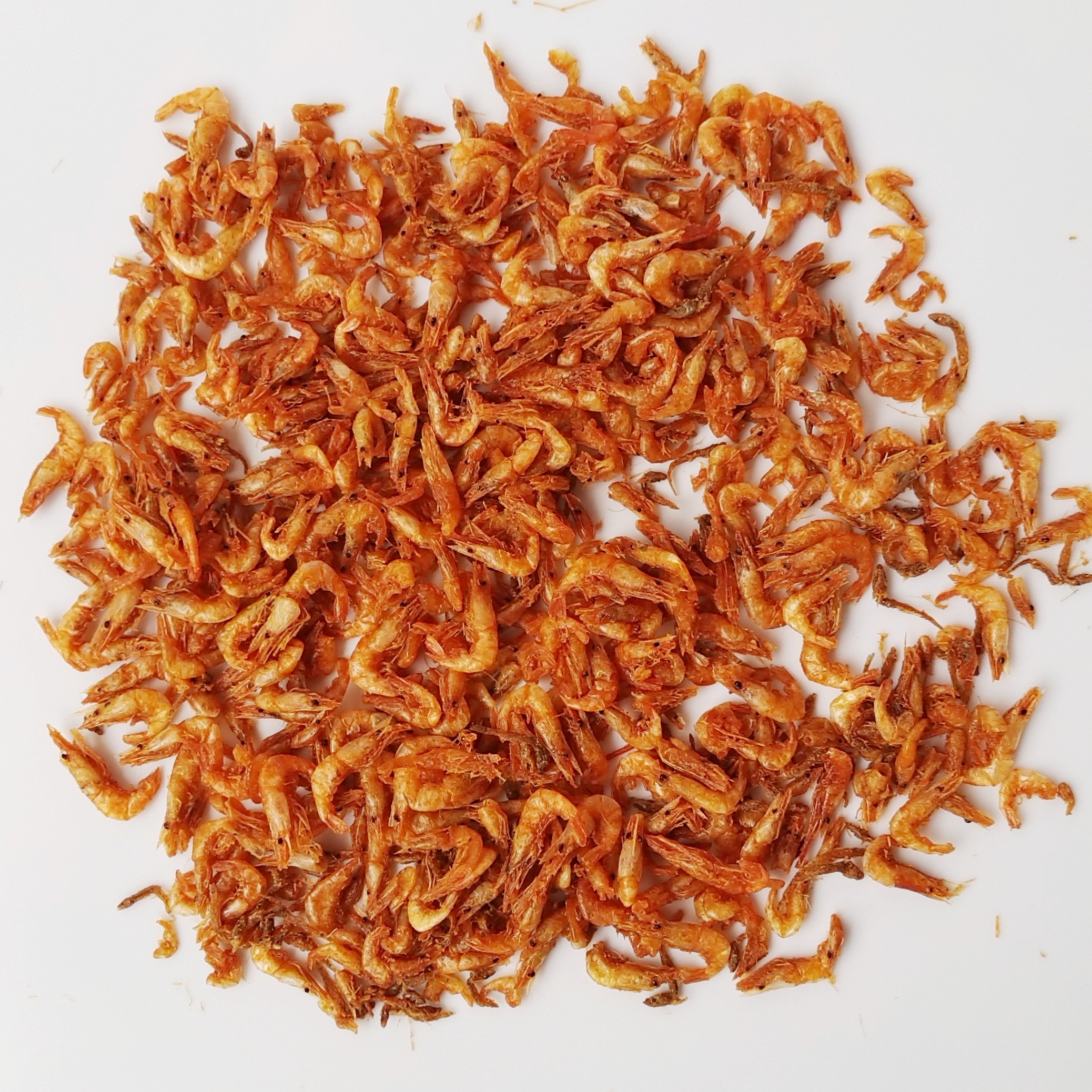 河源土特产包邮万绿湖淡水野生河鲜即食做菜炸小河虾干500g