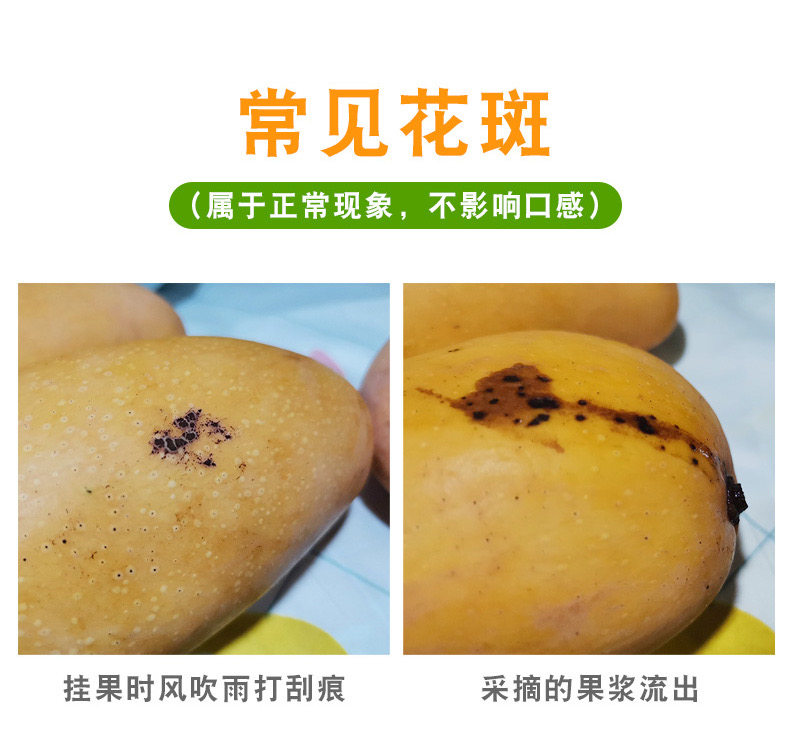 掌柜花皮介意勿拍海南蜂蜜小黄芒果放熟纯甜芒果