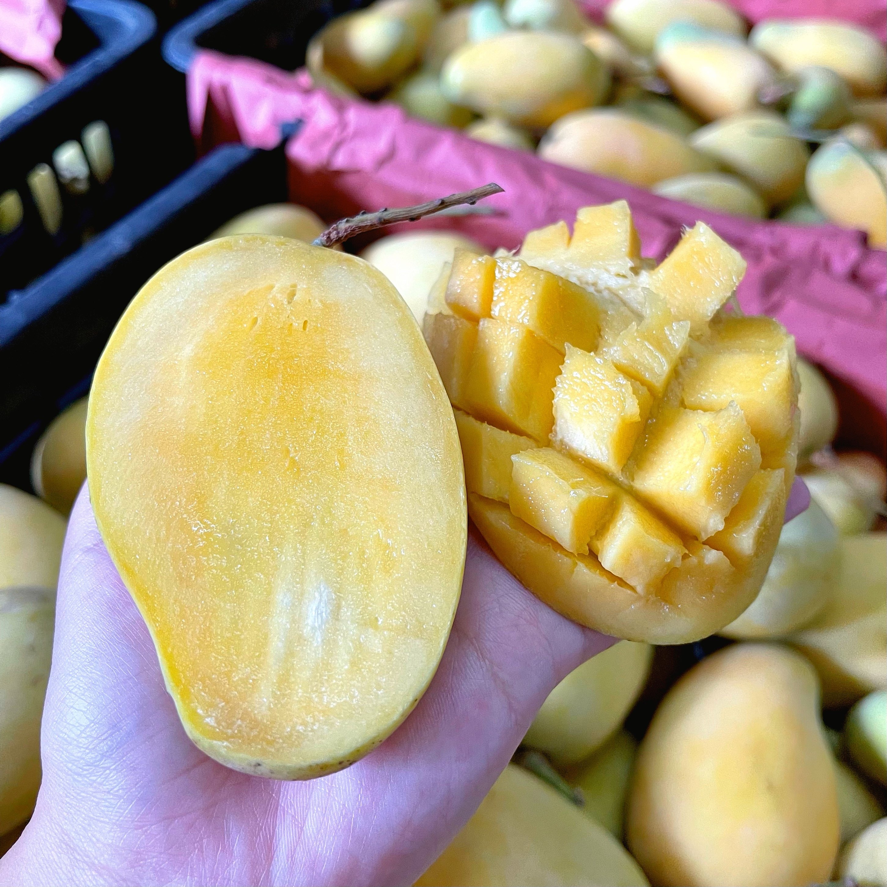 掌柜花皮介意勿拍海南蜂蜜小黄芒果放熟纯甜芒果