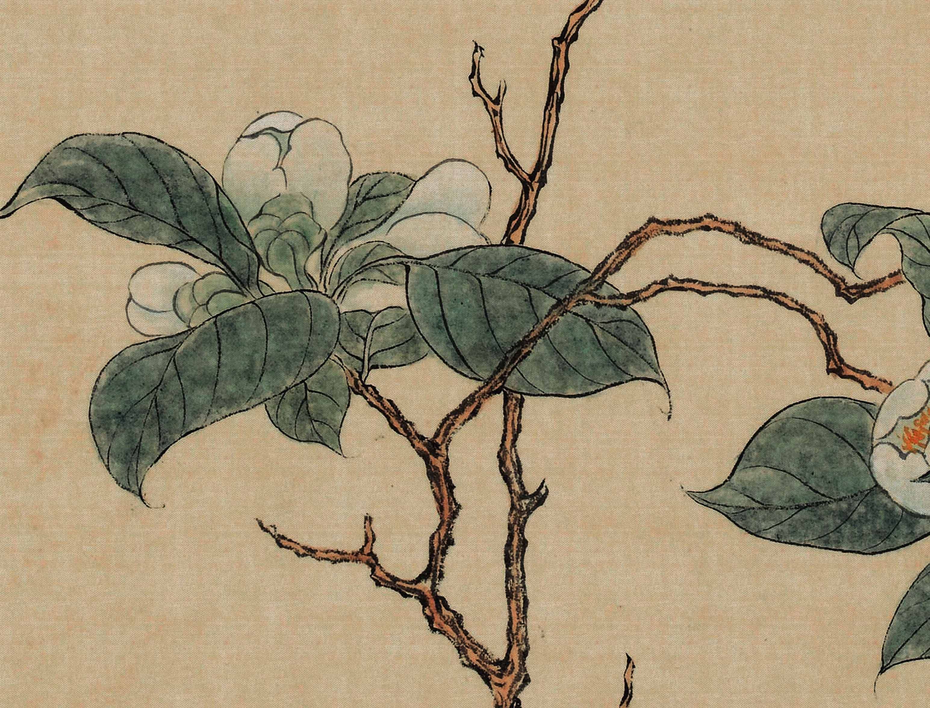 新品装饰画清微高清微国画图中中式花卉折枝溥儒国画