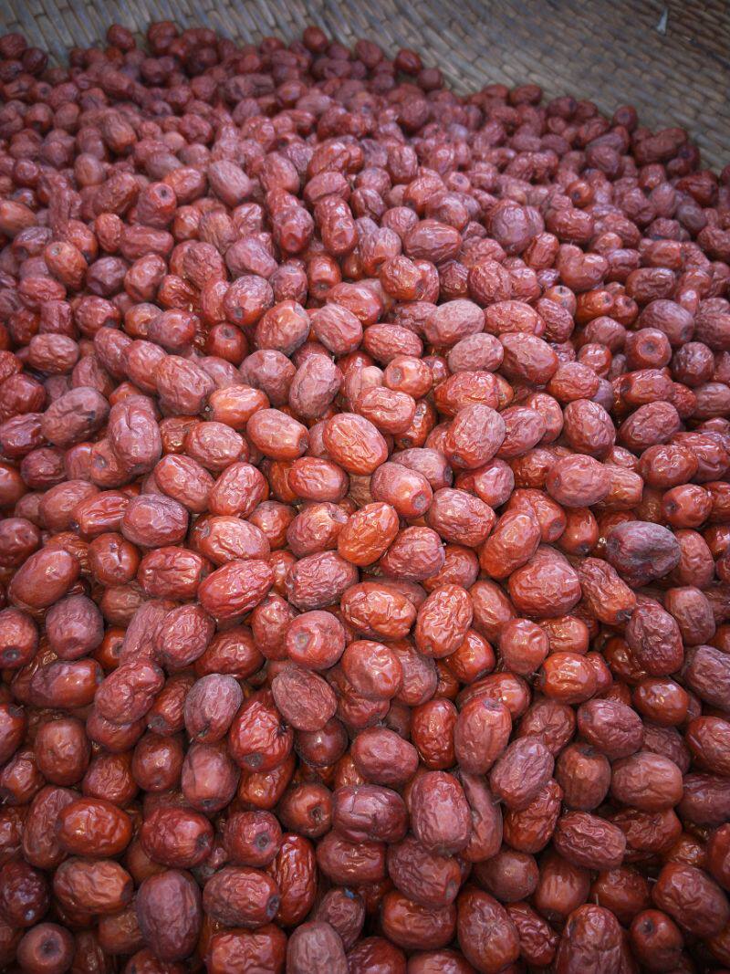 山东特产乐陵金丝小枣红枣零食煮粥煲汤5斤包邮枣