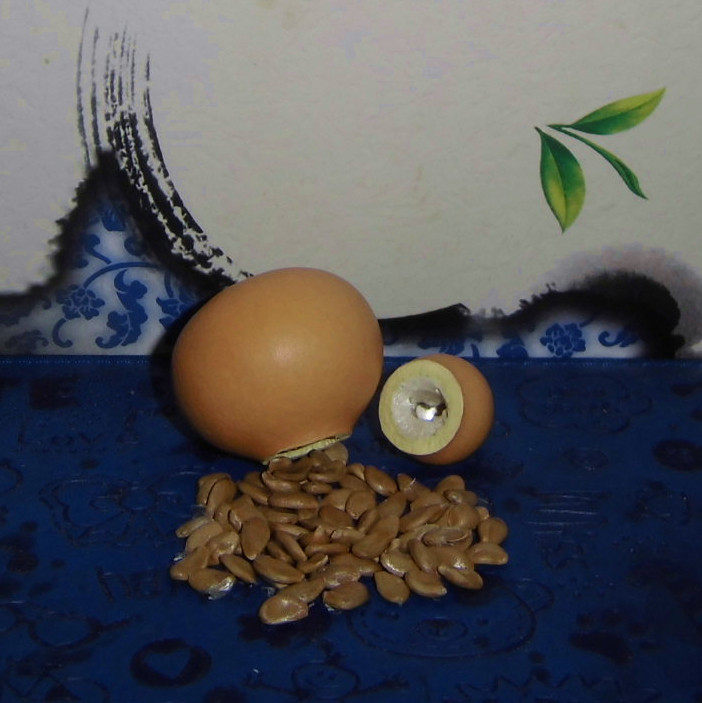 文玩八宝蚂蚁三庭观音苹果草里金饱籽盆栽天然葫芦