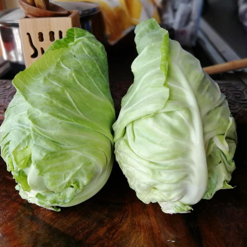 牛心菜新鲜蔬菜包心菜卷心菜5斤绿甘蓝莲花白 包邮 泡