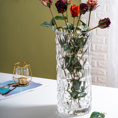 花瓶摆件客厅插花透明小玻璃瓶ins风马醉木水养宽口网红大富贵竹