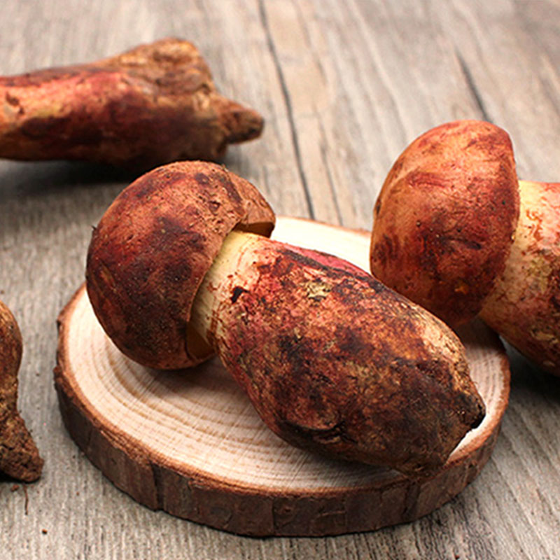 拾蘑菇 云南红牛肝菌 野生红葱 见手青新鲜菌菇 空运蘑菇包邮500g