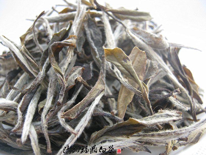 福鼎白茶 中茶白茶盛世牡丹 70周年纪念饼 2019年蝴蝶白牡丹茶叶