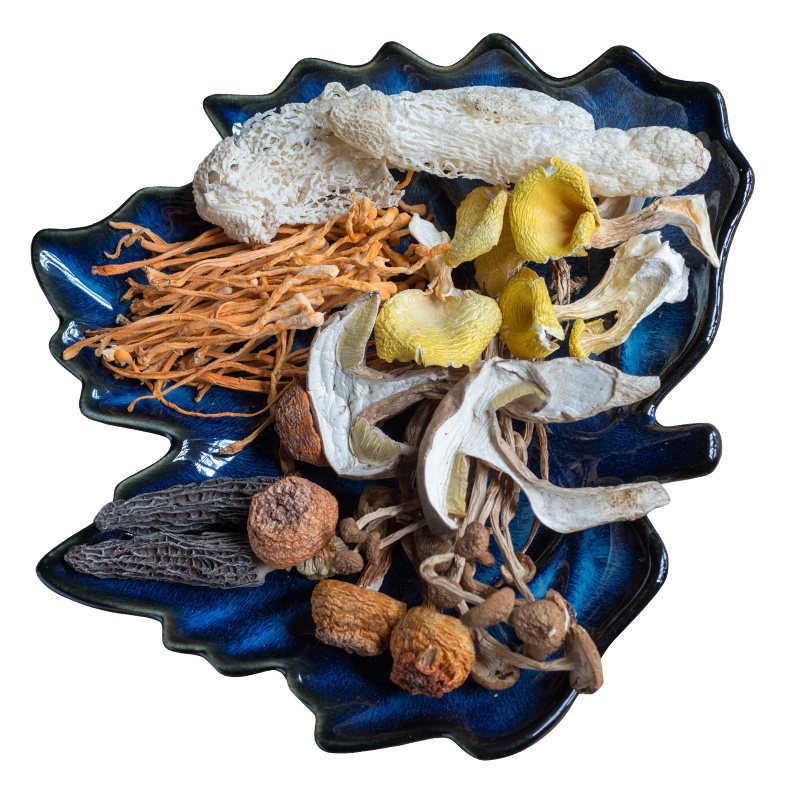 羊肚菌牛肝菌竹荪蘑菇菌类干货七彩汤包云南野生菌精选煲汤菌食材