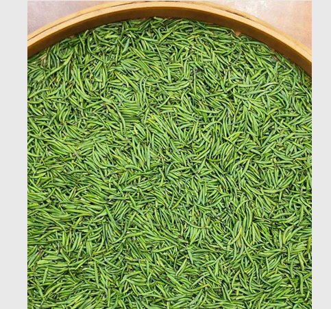 2018新茶四川万源富硒茶叶绿茶巴山雀舌明前特级清香型250g礼盒装_不