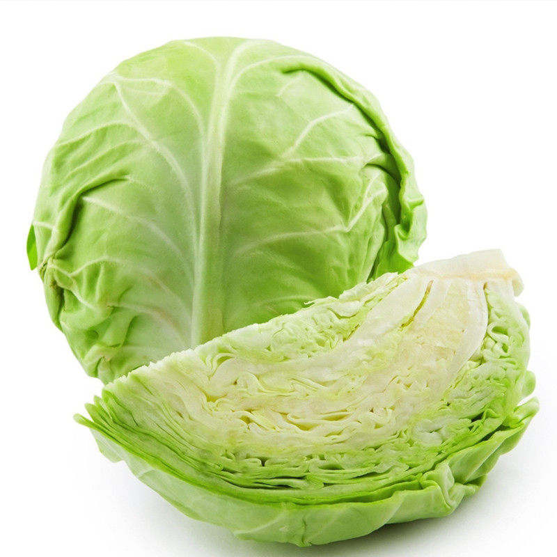 甘蓝种子中甘十一种籽卷心圆白菜秋季种植蔬菜家庭园艺种子