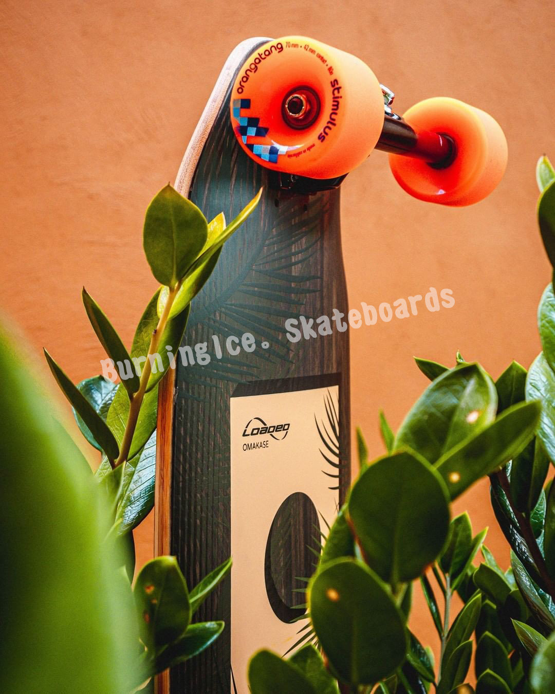 燃烧进口loadedomakase玻纤复古长板鱼板巡航代步滑板
