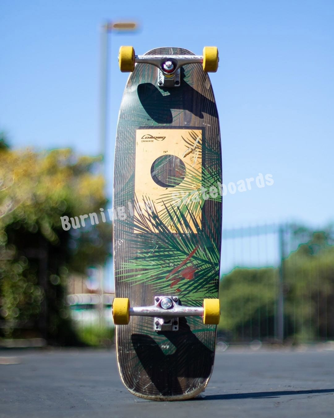 燃烧进口loadedomakase玻纤复古长板鱼板巡航代步滑板