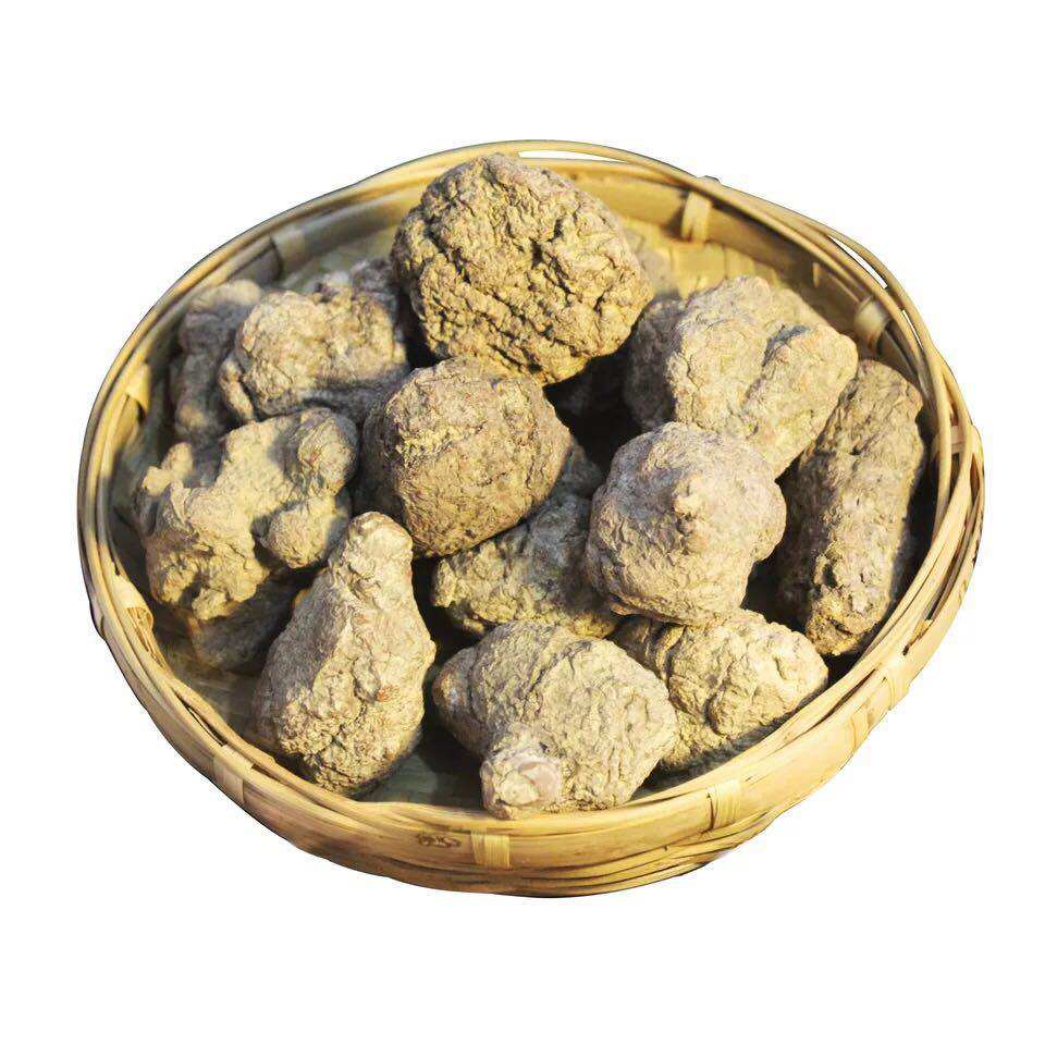 虎奶精选大片菌片咳嗽调理虎乳灵芝虎乳片煲汤传统滋补品其他