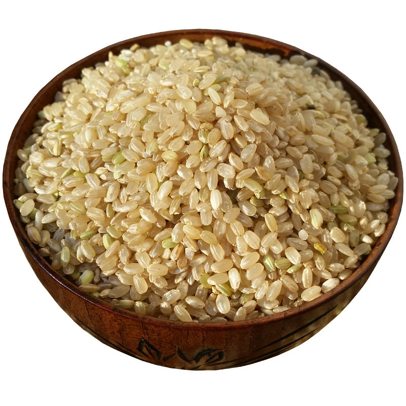 糙米 农家新米玄米发芽糙米饭粗胚芽米健身代餐粗粮五谷杂粮5斤装