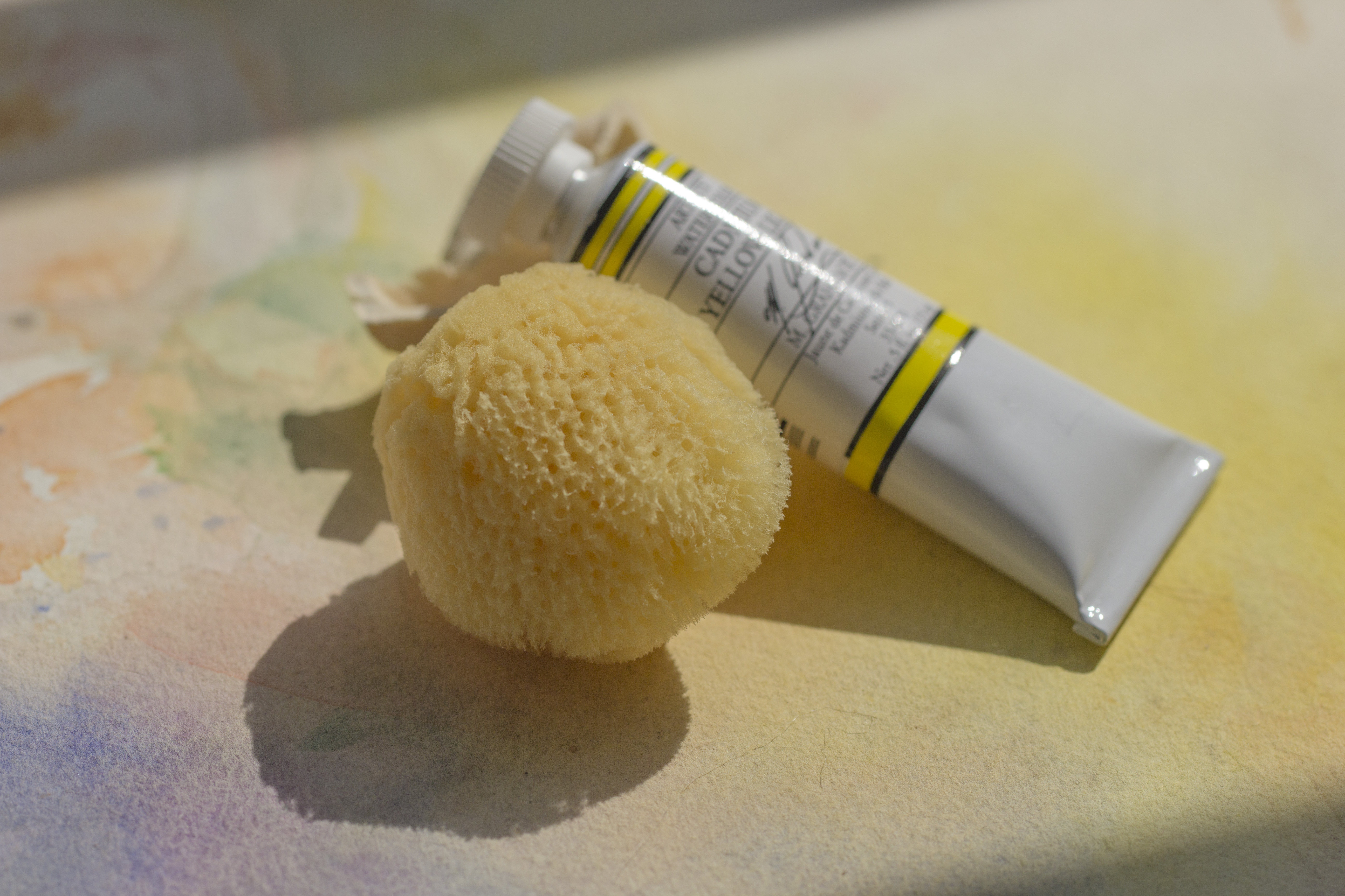 希腊进口 天然小海绵 水彩肌理专用 2-2.5英寸萌萌哒小海绵