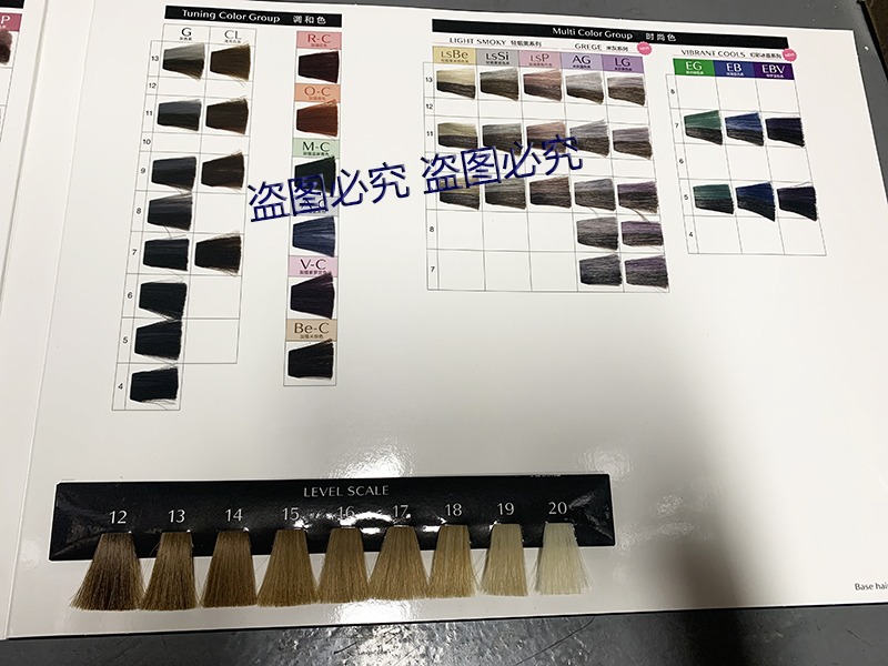 日本资生堂普盈丝染膏色板国内原装/美发色卡/美发沙龙毛板2020年