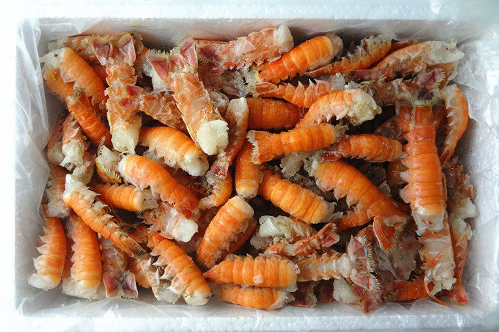 国产海鳌虾尾深海小龙虾铁甲虾2公斤海鲜礼盒包邮新西兰速冻虾尾