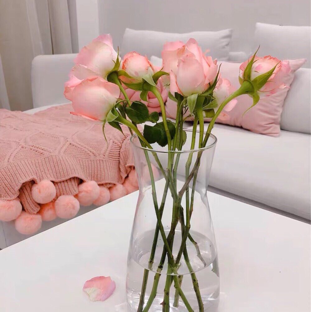 宜家国内代购卡拉拉夫餐用水瓶水瓶花花瓶插画花瓶