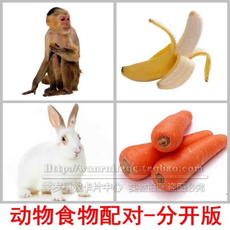 动物食物配对 自闭症认知卡片儿童孤独症语言表达康复