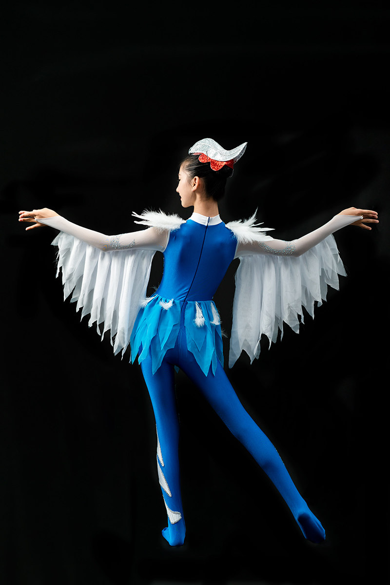 儿童老鹰舞蹈服装定制羽翼凌云小鸟表演服翼儿童演出服