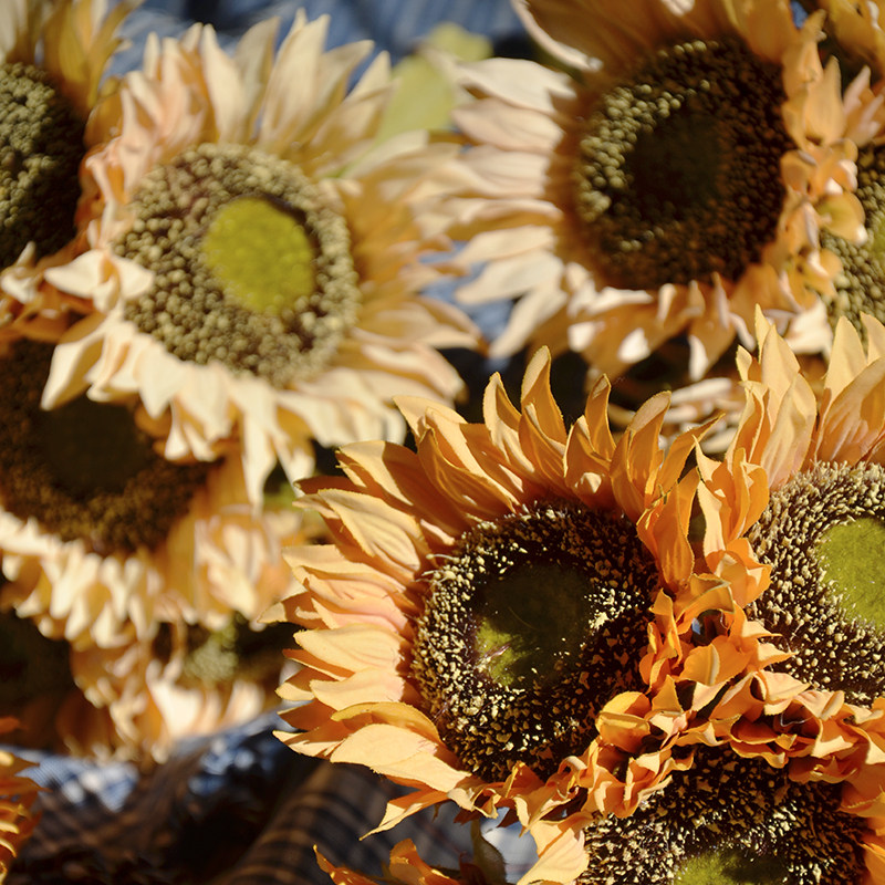复古怀旧仿真向日葵干花花束太阳花假花仿真花