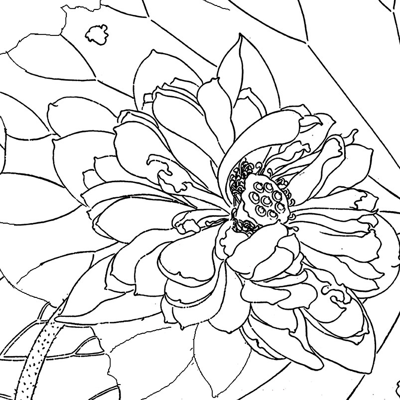 工笔画可选尺寸芙蓉月下冬冬白描杨冬冬打印稿勾线国画