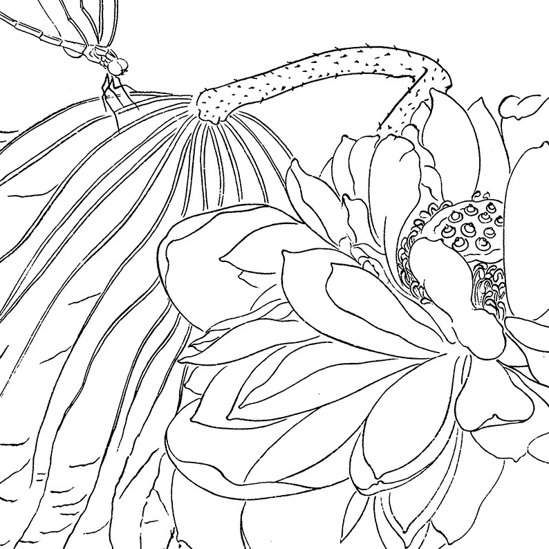 工笔画馨香风送花鸟冬冬杨冬冬白描打印稿白纸勾线国画