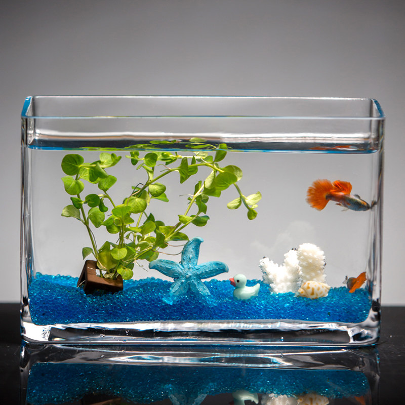 金鱼缸鱼缸透明玻璃长方形客厅小型生态桌面迷你桌面缸